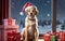 Santa\\\'s Paws A Festive Canine Surprise