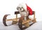 Santa Shih Tzu