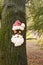 Santa Tree face