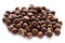 Santalum album (Indian sandalwood) seed