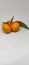 Santang orange or mandarin orange with leaves and tree trunk isolated on white, fresh and sweet mandarin orange