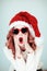Santas little helper. Beautiful happy young woman with a santa claus hat, perfect make up, red lipstick, and heart shape sun glass