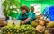 Santo Domingo, Dominican Republic. Seller of lemon and coconut juice in Calle El Conde street.