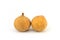 Santol tropical fruit