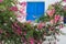 Santorini - blooming pink bougainvillea in front of typical Greek white house with blue painted wooden shutter.