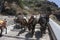 Santorini donkey path
