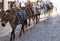 Santorini horses