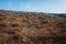 Santorini island autumn hills. Volcano soil natural landscape. Rows of stones