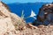 Santorini island, Greece: White wild flower close on a blurry background