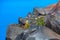 Santorini volcanic stone rock and caldera, Greece