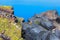 Santorini volcanic stone rock and caldera, Greece
