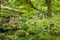 Sanzenin Temple in Ohara, Kyoto, Japan. Sanzenin Temple was founded in 804