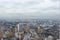 SAO PAULO, BRAZIL - JUNE 11, 2021: Skyline view of Sao Paulo in a cloudy day Including downtown Paulista Avenue buildings famous