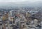 SAO PAULO, BRAZIL - JUNE 11, 2021: Skyline view of Sao Paulo in a cloudy day Including downtown Paulista Avenue buildings famous