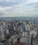 SAO PAULO, BRAZIL - JUNE 11, 2021: Skyline view of Sao Paulo in a cloudy day Including downtown Paulista Avenue buildings famous