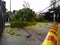 Sao Paulo city, Sao Paulo state/New Avenue Independencia, 1066, Brazil South America. 10/13/2018 Rain with strong wind knocks tree
