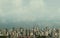 Sao Paulo, Sao Paulo, SP - 03-15-2020: view of Sao Paulo city. Buildings, constructions, houses are part of this metropolis. Expen