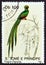 SAO TOME AND PRINCIPE - CIRCA 1992: A stamp printed in Sao Tome and Principe shows Trogon Pavonis.