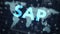 SAP System Software Automation concept on virtual screen data center. Business, modern technology, internet and networking concept