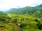 Sapa Rice Field Rice Terrace in Vietnam.