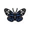 sapho longwing insect color icon vector illustration