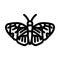 sapho longwing insect line icon vector illustration