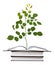 Sapling growing from book
