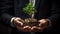 Sapling Thrives on a Hand Grasping Silver Coins. Capturing Green Business Concepts for Finance and Investment. Symbolic