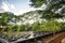 Saplings are growing in the farming plastic flowerpot in a row with big tree and sky background