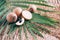 Sapodilla or ciku fruit over palm leaves on rattan background. Copy space. Dimocarpus longan. Bunch of exotic longans. Tropical