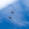 SARATOV, RUSSIA - MAY 6, 2017: Russian bomber and tanker. Aircraft in the sky.