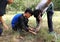 Sarawak, Malaysia - NOV 4 2019, local boy scout are preparing animal trap during their camping