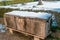 Sarcophagus of National Museum of Rome  Baths of Diocletian under snow