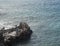 Sardina del Norte, Grand Canaria, Canary islands, Spain, December 13, 2020: Group of angler fishermen fishing at the cllifs in