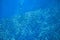 Sardine carousel in blue sea water closeup. Massive fish school undersea photo. Pelagic fish swimming in seawater.