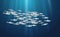 Sardine, Ivasi fishes background, marine life in schools. Banner fish flock, simple water inhabitants. Seafood packaging and