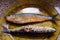 Sardines Background Rustic Eat Detail