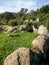 Sardinia. Gonnosfanadiga. Nuragic archeological area of San Cosimo, 2nd millennium b.C. Megalithic circles