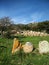 Sardinia. Gonnosfanadiga. Nuragic archeological area of San Cosimo. Tomb of giants Sa Grutta de Santu Juanni, 2nd millennium b.C.