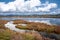 Sardinia. Natural environment. Coastal backdunal pond of Porto Botte in the Sulcis region. Shrubs of glasswort in saline water