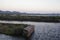 Sardinia. Natural environments. Coastal pond of Porto Botte