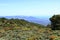 sardinian mountain landscape near Biddamanna IstrisÃ ili Villagrande Strisaili Arzana, Italy