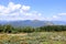 sardinian mountain landscape near Biddamanna IstrisÃ ili Villagrande Strisaili Arzana, Italy