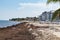 Sargassum seaweed sea algae problem on the beach of Mexico