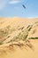 Sarykum dune. Dagestan. Large dune with a small silhouette of people walking on it against the blue sky. Vertical view