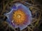 Saskatoon prairie flowers Crocus