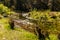 Saspowka creek in Saspowska Valley nature park in spring season within Jura Krakowsko-Czestochowska Jurassic upland in Poland