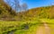 Saspowka creek in Saspowska Valley nature park in spring season within Jura Krakowsko-Czestochowska Jurassic upland in Poland