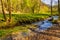 Saspowka creek in Saspowska Valley nature park in spring season within Jura Krakowsko-Czestochowska Jurassic upland in Poland