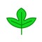 Sassafras leaf icon vector sign and symbol isolated on white background, Sassafras leaf logo concept